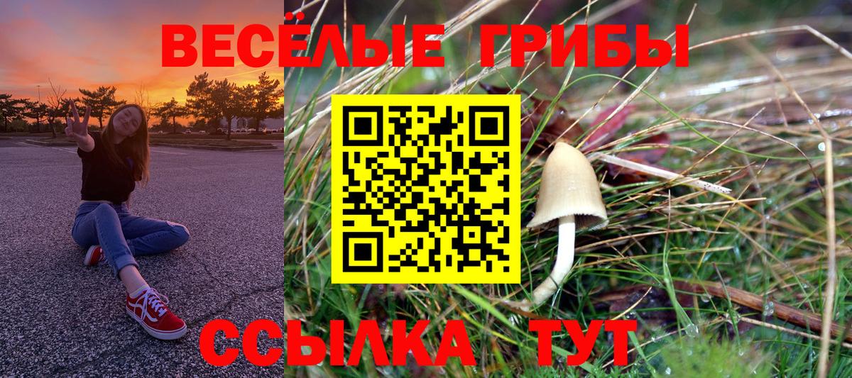 Кингисепп  Псилоцибиновые грибы ЛСД  Псилоцибиновые грибы мухоморы  Вход с VPN 
